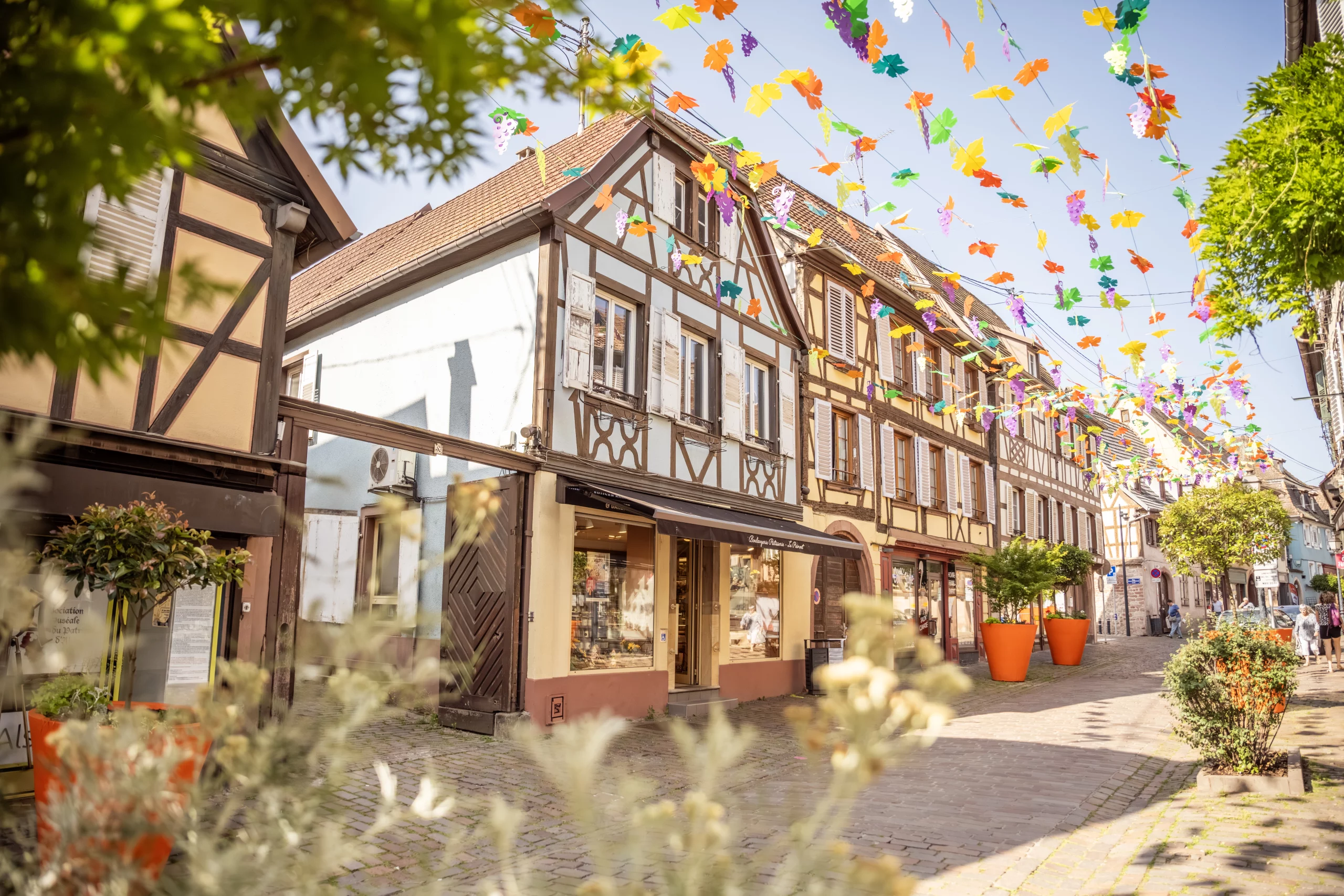 alsace-barr-boulangerie-du-piemont-_38_